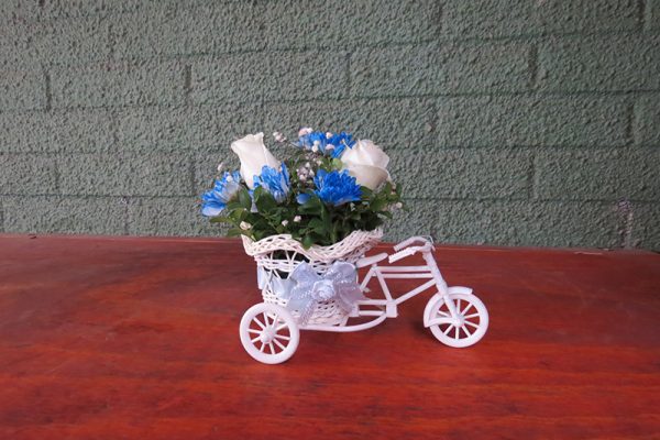 triciclo niño $8000jpg